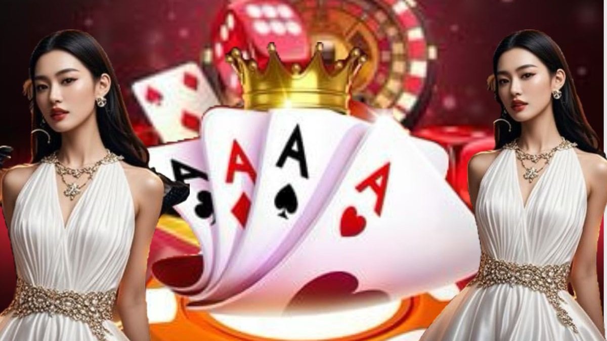 556 bet vip
