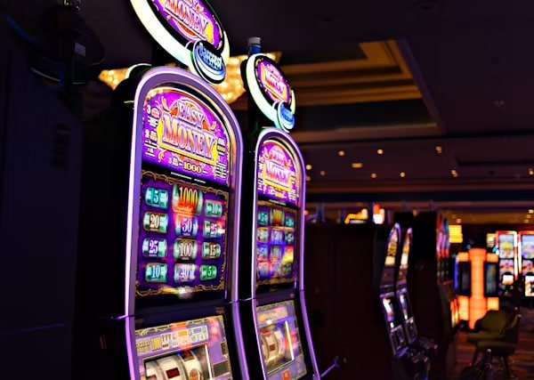 556 bet vip