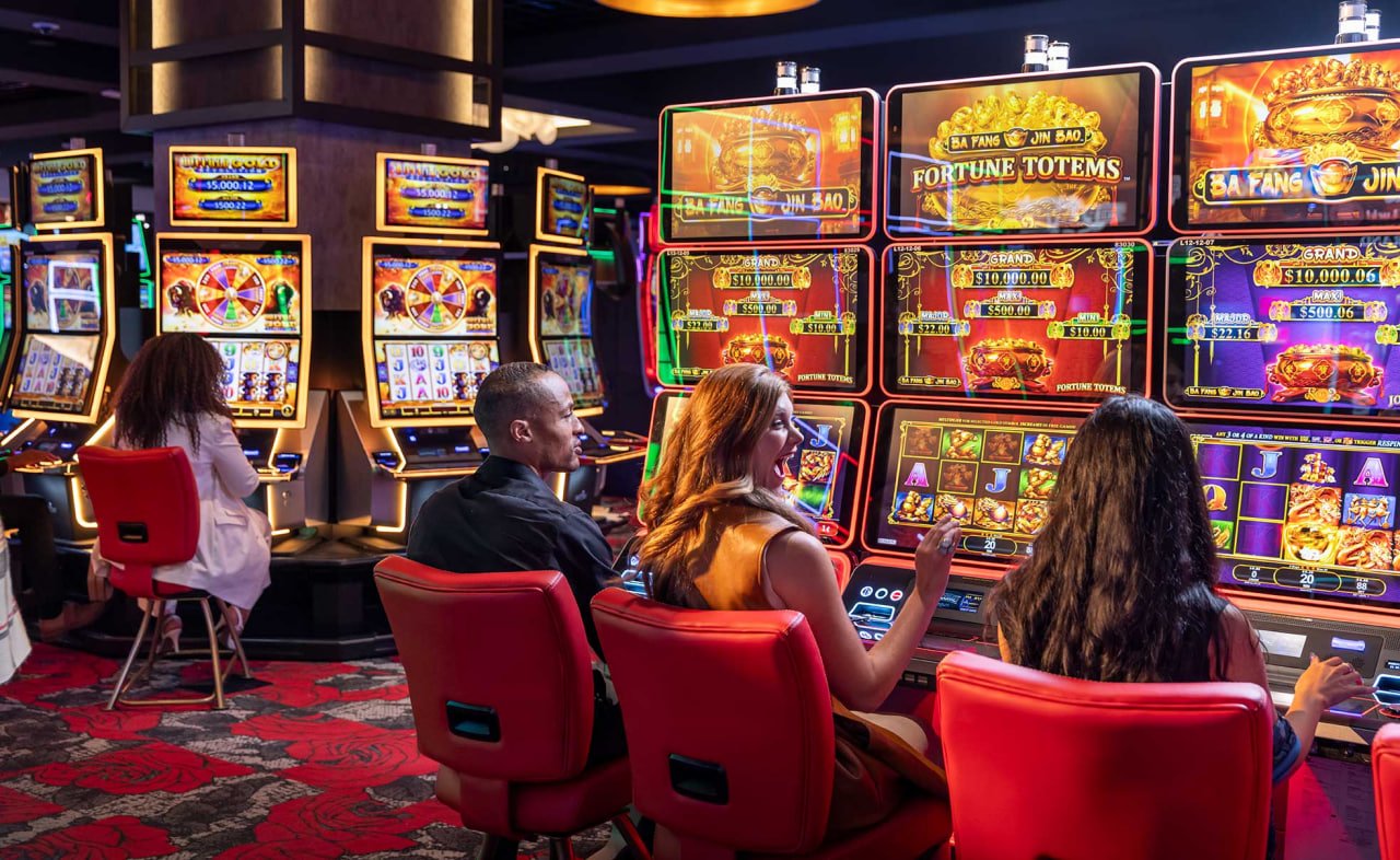 556 bet vip