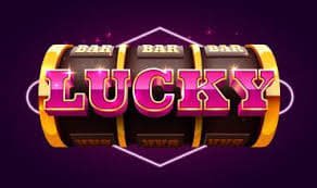 556 bet vip