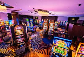 556 bet vip
