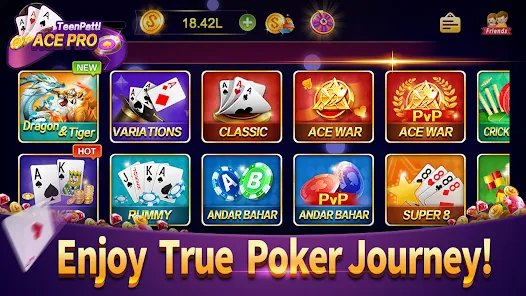556 bet vip